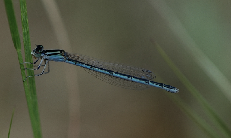 5th Year/6th Year Biology Trip